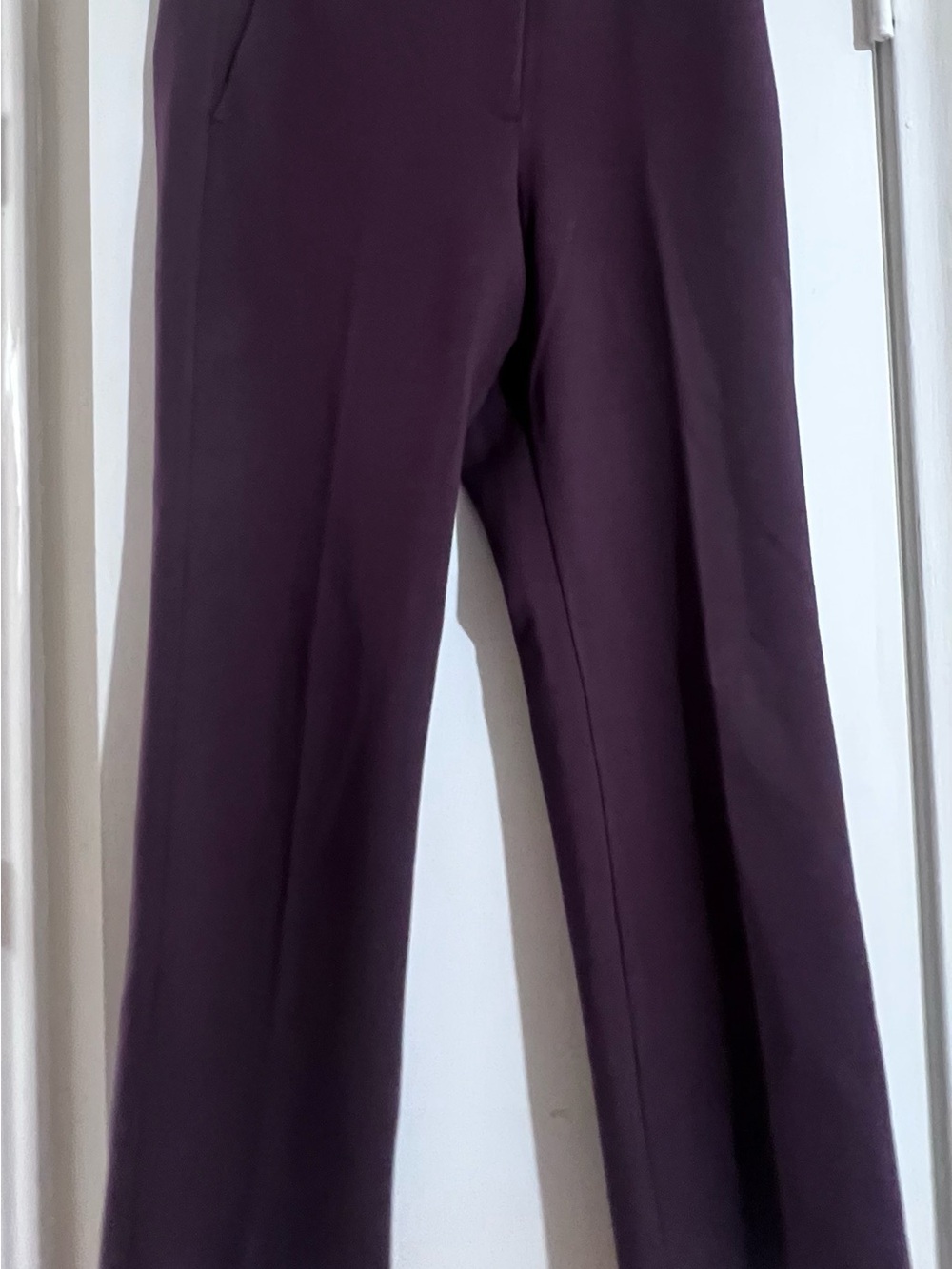 Ann Taylor Deep Plum Straight-Leg Trousers Size 12